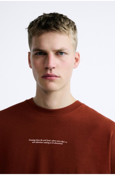 تیشرت با چاپ دورنگ مردانه رنگ نارنجی سوخته  زارا