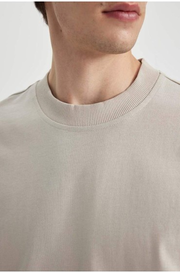 تیشرت آستین کوتاه با یقه فیت اورسایز مردانه سالانه  دیفکتو