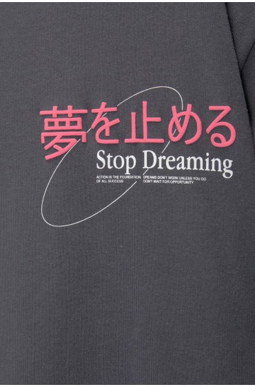 تیشرت خاکستری "Stop Dreaming". مردانه آنتراسیت پل اند بیر