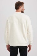  سویشرت معمولی Fit Crew Neck Basic Sweatshirt ساده مخملی مردانه اکرو دیفکتو 