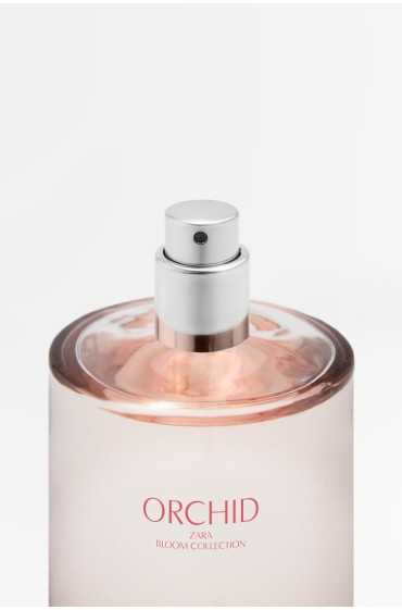 عطر ORCHID EDP 180ML / 6.08 fl. oz زنانه زارا